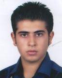 Seyed Saed  Mirmajidi